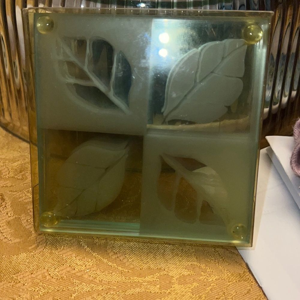 Laye Aspen Leaf Pattern Frosted Glass Coaster Set new in box